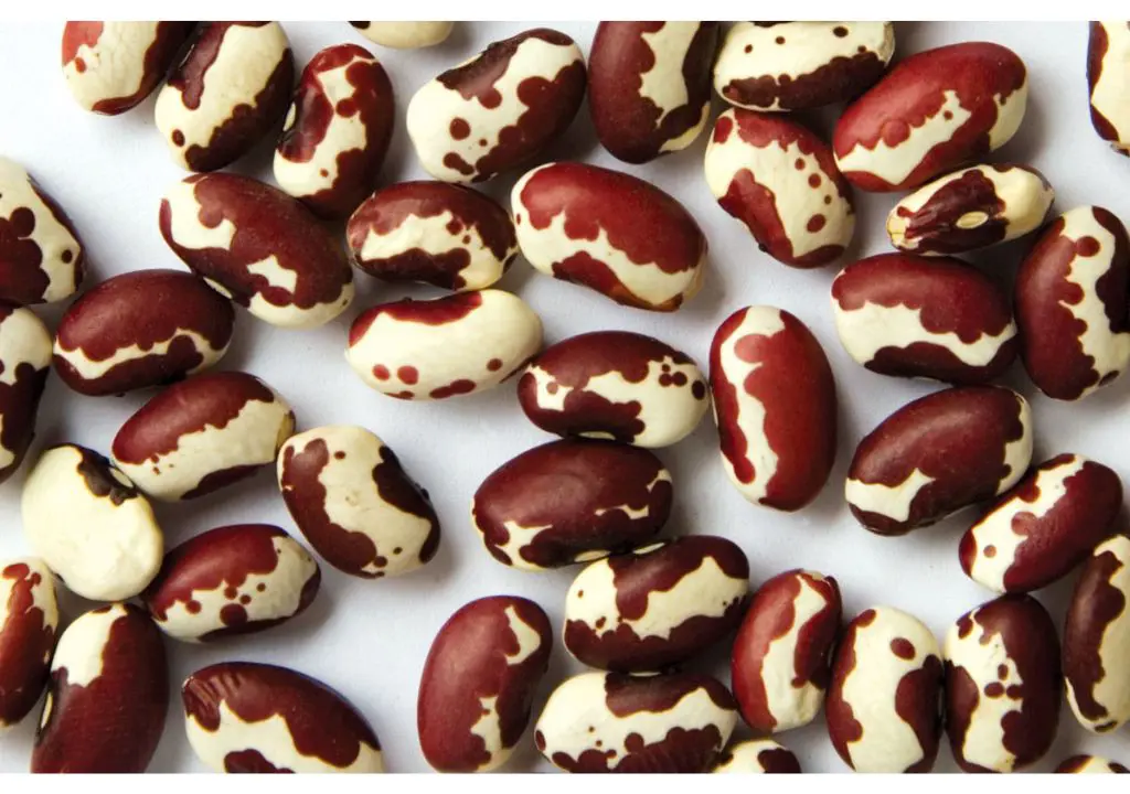 substitution for kidney beans, substitute for kidney beans, substitute kidney beans, kidney beans substitutes, red bean substitute, red beans substitute, substitute for kidney beans in chili, kidney beans substitute in chili, substitute for pink beans