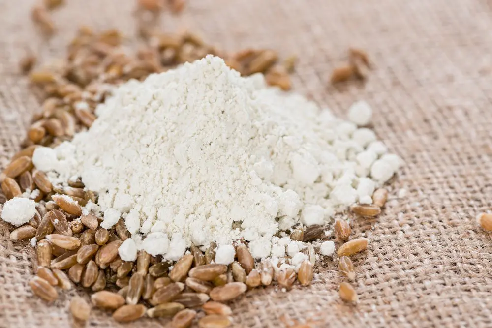 buckwheat flour substitute, substitution for buckwheat flour, buckwheat substitute for flour, substituting buckwheat flour, buckwheat flour substitutions