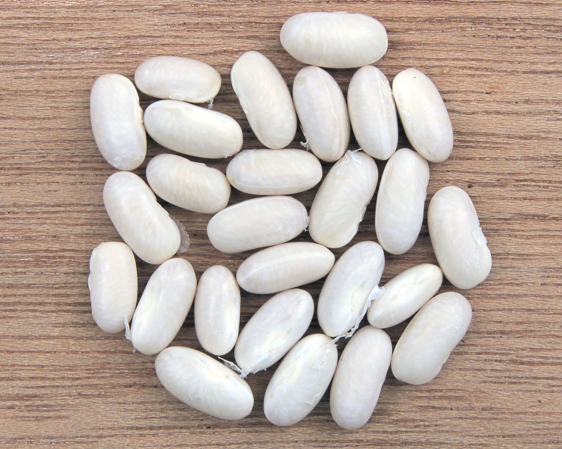 cannellini beans substitute, substitution for cannellini beans, substitute for cannellini beans, cannellini bean substitute, substitute cannellini beans, cannellini beans sub, navy beans
