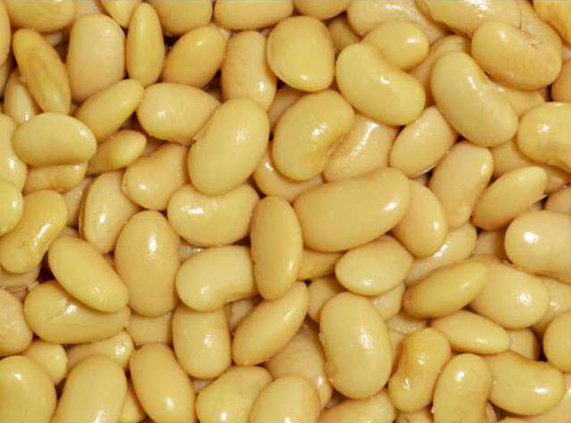 cannellini beans substitute, substitution for cannellini beans, substitute for cannellini beans, cannellini bean substitute, substitute cannellini beans, cannellini beans sub, butter beans