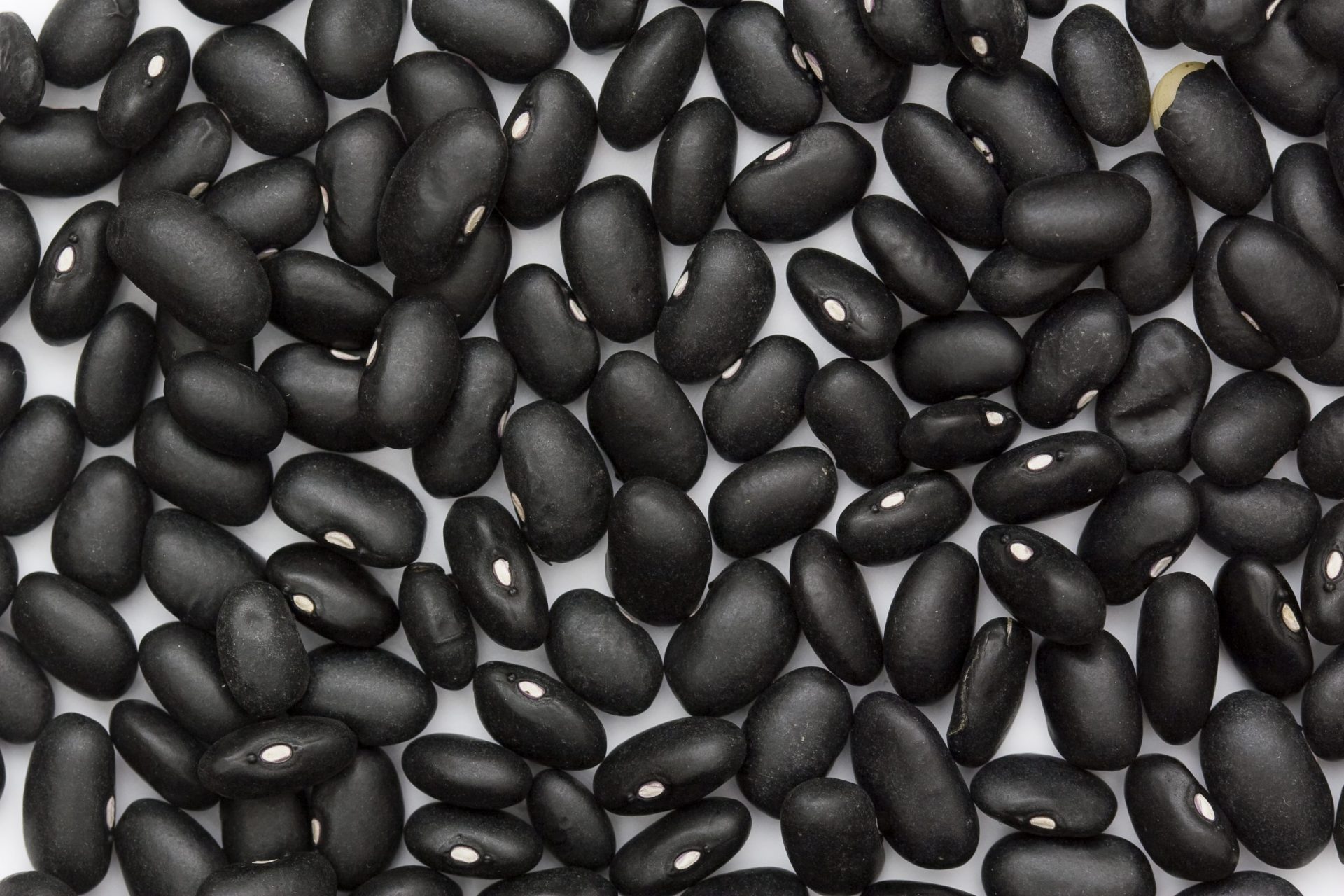 navy bean substitutes, navy beans substitutes, substitute navy beans, substitute for navy beans, substitution for navy beans, black beans