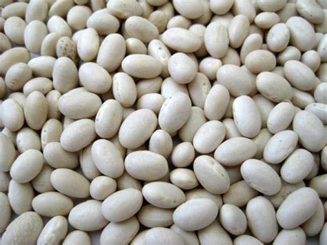 navy bean substitutes, navy beans substitutes, substitute navy beans, substitute for navy beans, substitution for navy beans, white tepary beans