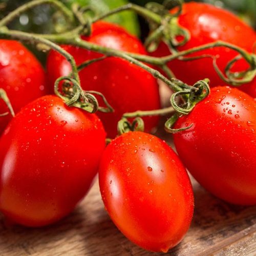 roma tomatoes substitute, roma tomato substitute, tomatoes similar to roma, substitute for roma tomatoes