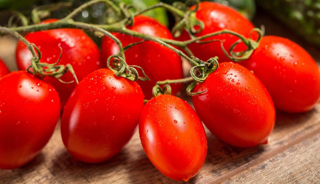 roma tomatoes substitute, roma tomato substitute, tomatoes similar to roma, substitute for roma tomatoes