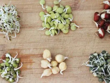 bean sprout substitute, bean sprouts substitute, beansprout alternative, substitute for bean sprouts