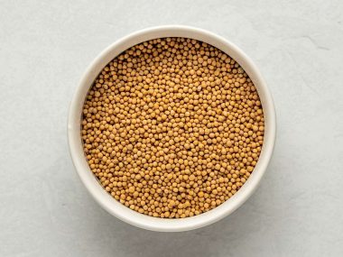 mustard seed substitute, substitute for mustard seeds, substitute mustard seed, substitute for mustard seed in pickling, mustard seed substitute, substitute for mustard seed