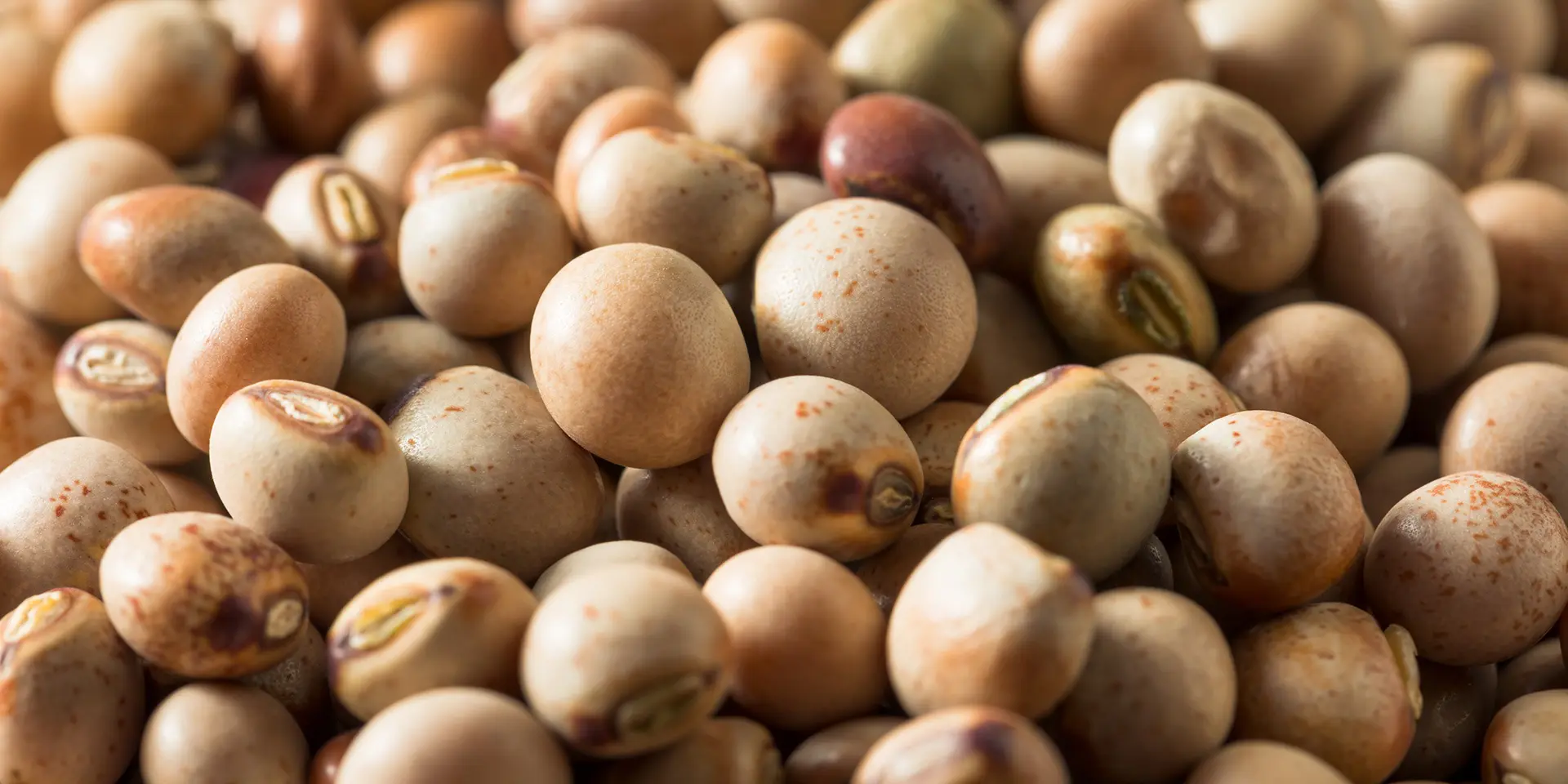 substitute for pigeon peas, substitute for peas, pigeon peas substitute