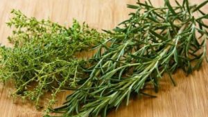 Thyme vs Rosemary, rosemary vs thyme, difference between rosemary and thyme, thyme versus rosemary, rosemary vs thyme flavor, is rosemary and thyme the same