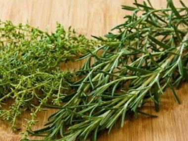 Thyme vs Rosemary, rosemary vs thyme, difference between rosemary and thyme, thyme versus rosemary, rosemary vs thyme flavor, is rosemary and thyme the same