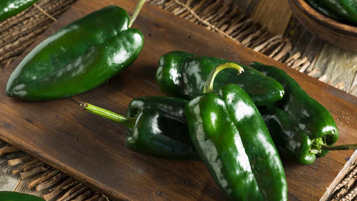 pasilla pepper vs poblano, pasilla vs poblano, poblano vs pasilla, pablano vs pasilla, pasilla peppers vs poblano, poblano v pasilla, poblano peppers vs pasilla