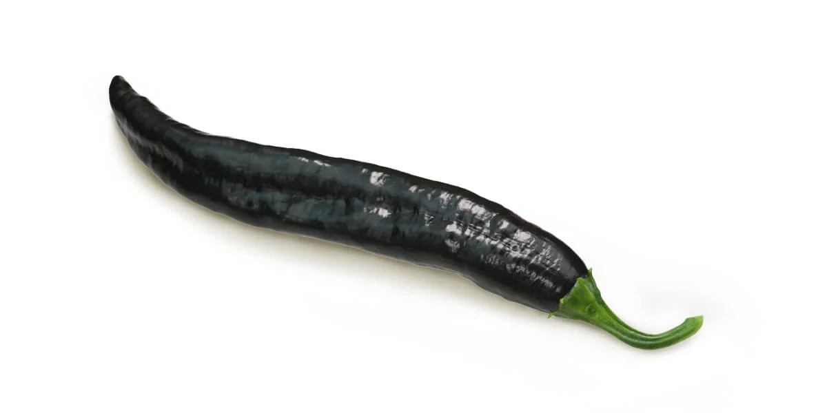 pasilla pepper vs poblano, pasilla vs poblano, poblano vs pasilla, pablano vs pasilla, pasilla peppers vs poblano, poblano v pasilla, poblano peppers vs pasilla