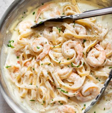 Homemade Creamy Shrimp Alfredo Pasta Recipe